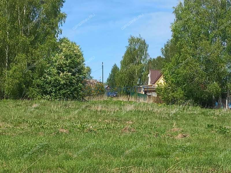 земельный участок 114 соток Лесная улица деревня Александровка