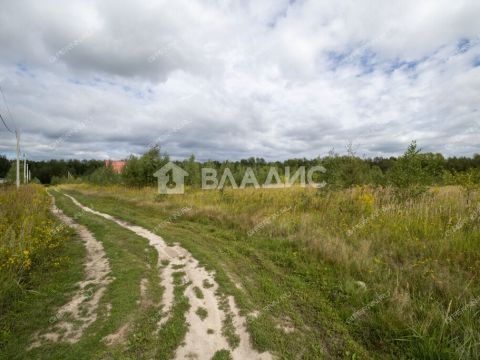 selo-spirino-bogorodskiy-municipalnyy-okrug фото