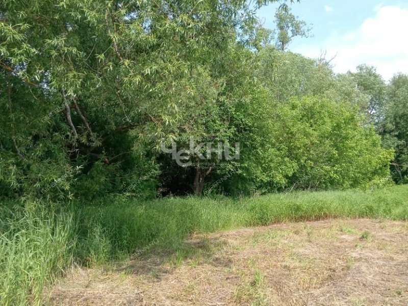 земельный участок 15 соток деревня Фаладово