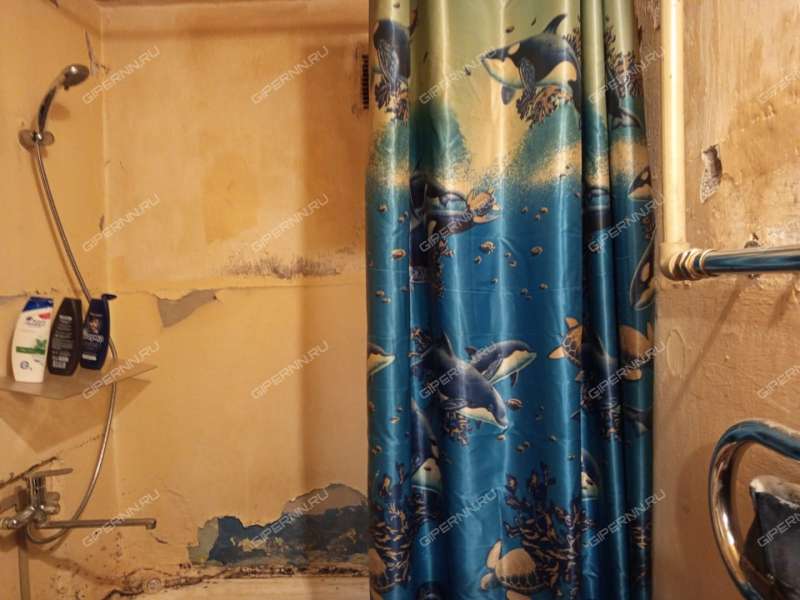 однокомнатная квартира на улице Премудрова дом 16 к1