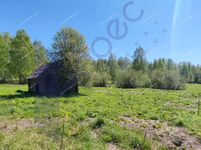 земельный участок под коммерческое использование в городском округе Сокольский Нижегородской области