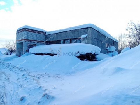 derevnya-medvedevo-semenovskiy-gorodskoy-okrug фото