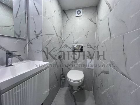 ul-belinskogo-d-110 фото