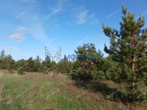 derevnya-lapshiha-dalnekonstantinovskiy-rayon фото