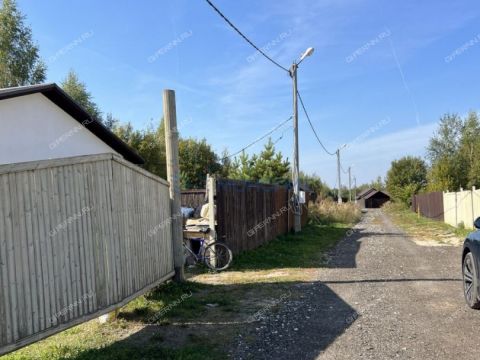 selo-arapovo-bogorodskiy-municipalnyy-okrug фото