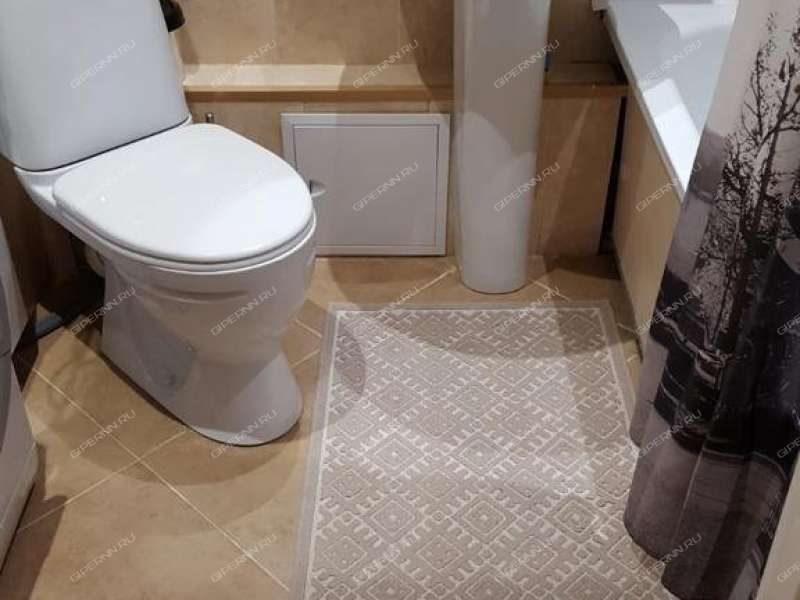 двухкомнатная квартира на Бурнаковской улице дом 67