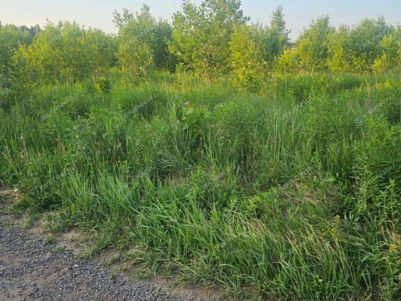 земельный участок 10 соток Лесная село Елховка