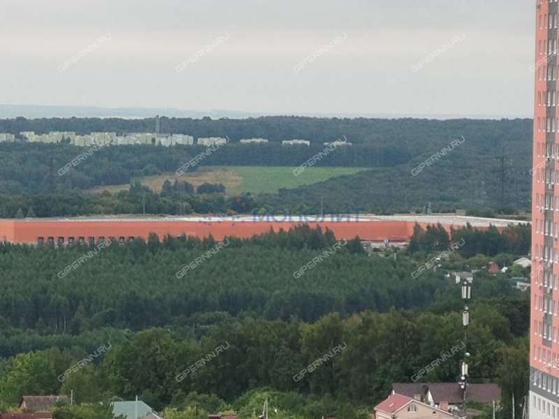 однокомнатная квартира на Русской улице улице дом 4 деревня Анкудиновка