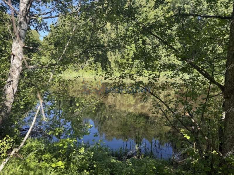 земельный участок под сельхоз назначение в Лысковском районе Нижегородской области