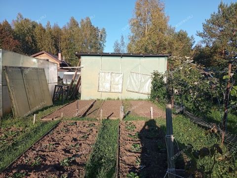 dacha-rabochiy-poselok-bolshoe-kozino-balahninskiy-municipalnyy-okrug фото