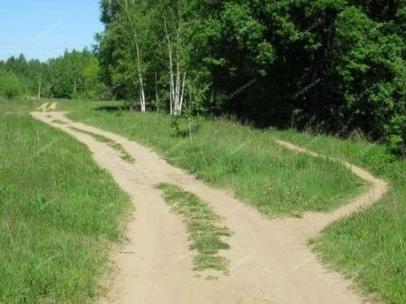 земельный участок 10 соток деревня Липовки