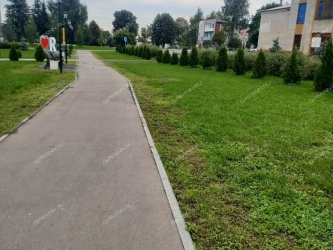 2-komnatnaya-derevnya-prokoshevo-kstovskiy-rayon фото