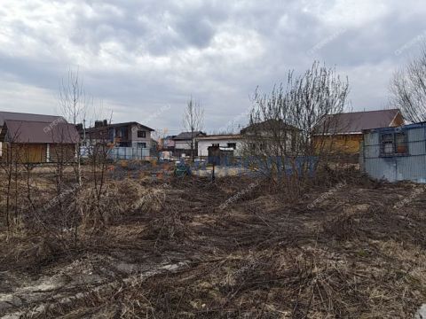 gorod-bor-gorodskoy-okrug-bor фото