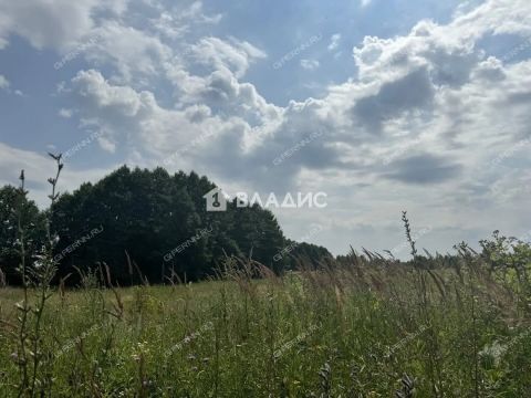 massiv-2-ya-zona-bogorodskiy-municipalnyy-okrug фото
