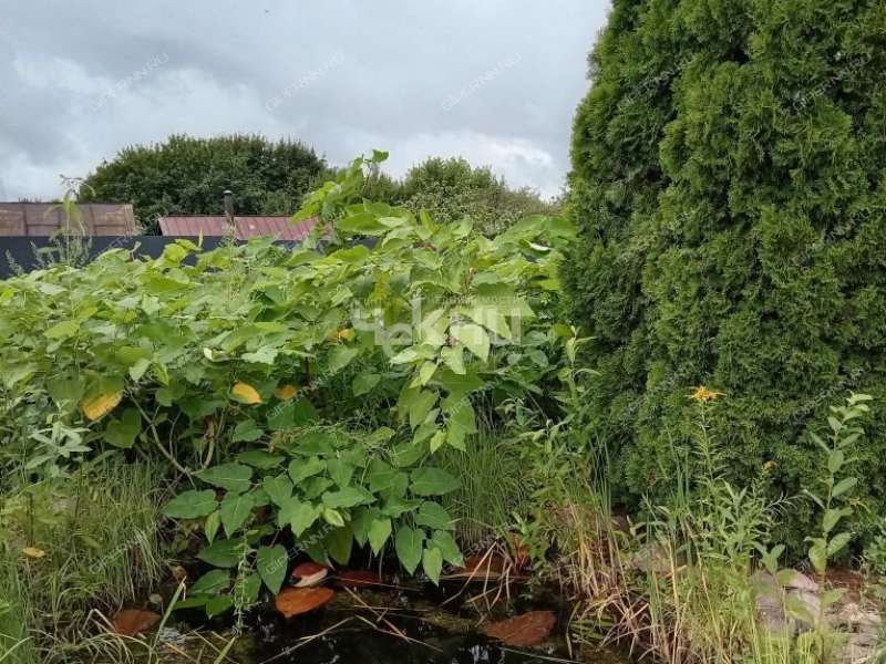 дом на Советской улице село Елизарово