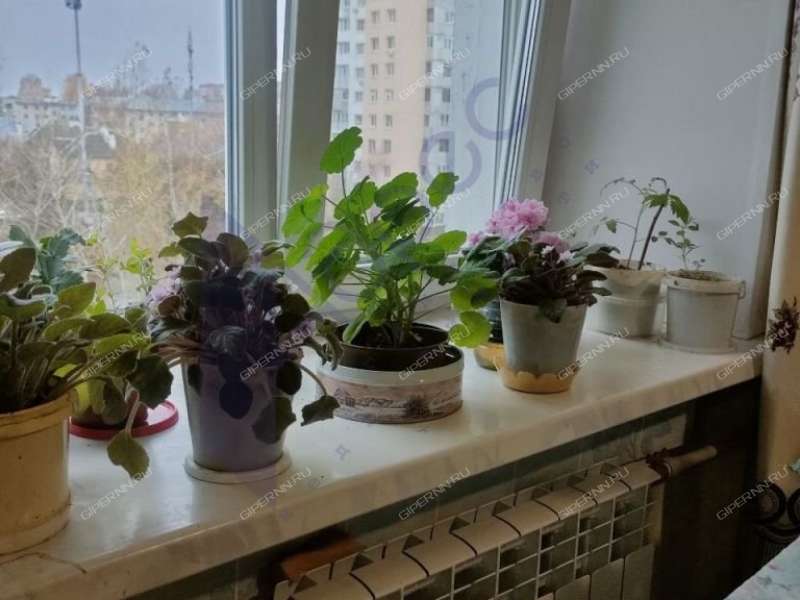 двухкомнатная квартира на Путейской улице дом 9