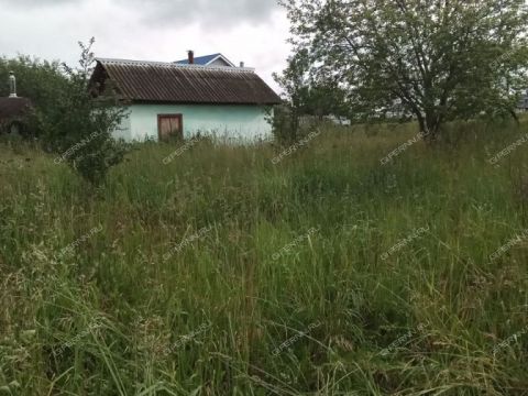 dom-selo-diveevo-diveevskiy-municipalnyy-okrug фото