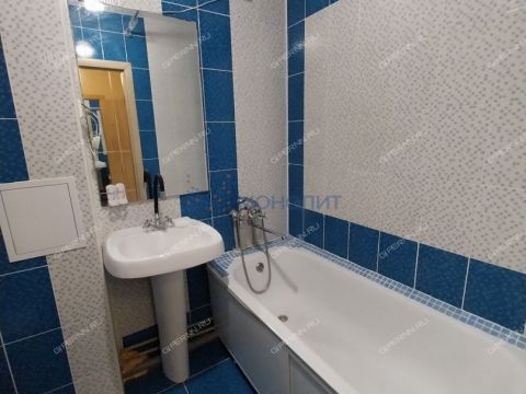 1-komnatnaya-derevnya-novopokrovskoe-ul-izumrudnaya-d-18-k2 фото