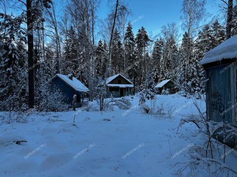 derevnya-syrohvatovo-gorodskoy-okrug-bor фото