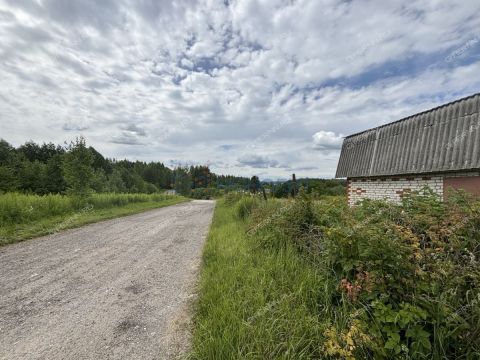 ryabinino-sad-gorodskoy-okrug-chkalovsk фото