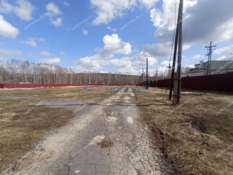 rabochiy-poselok-sosnovskoe-sosnovskiy-rayon фото