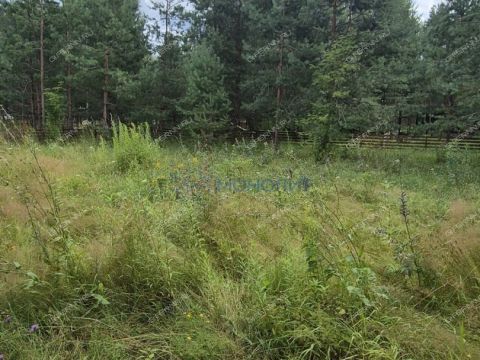 kottedzh-soboliha-2-derevnya-soboliha-ter-sokolskiy-gorodskoy-okrug фото