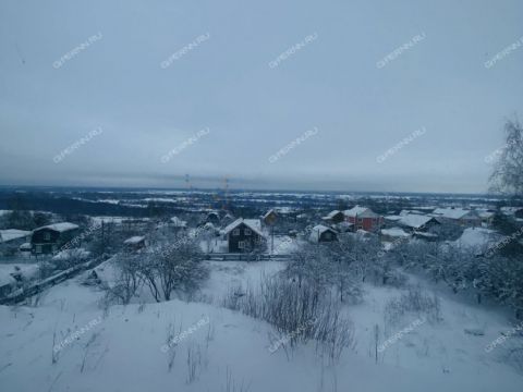 2-komnatnaya-derevnya-afonino-kstovskiy-rayon фото