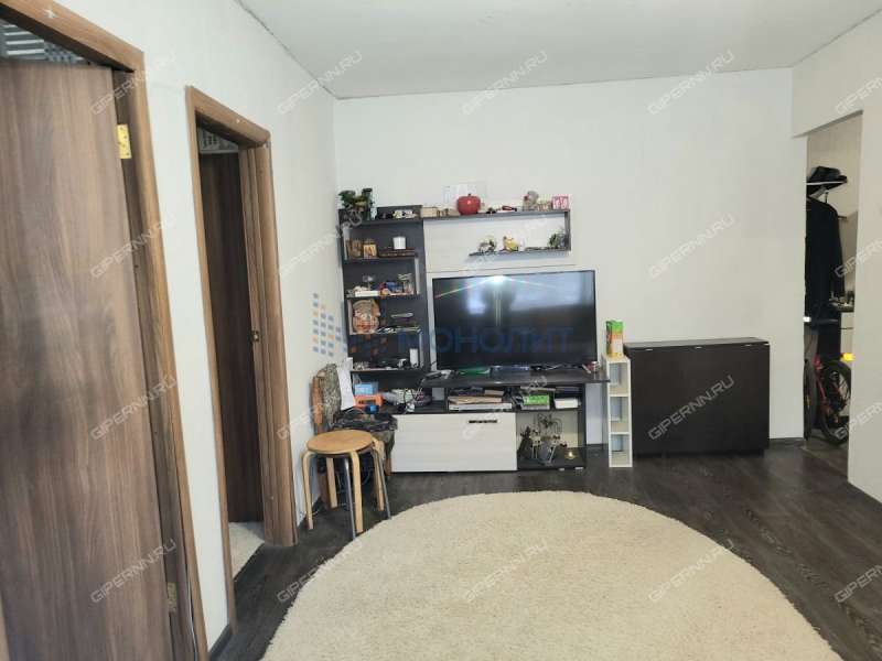 трёхкомнатная квартира на Снежной улице дом 23