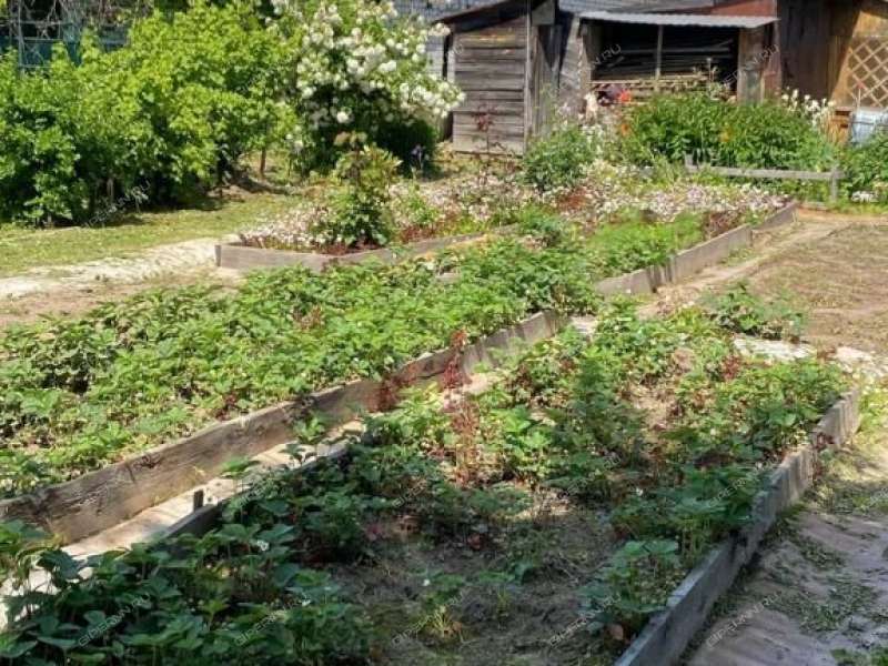 земельный участок 8 соток Новопокровское деревня