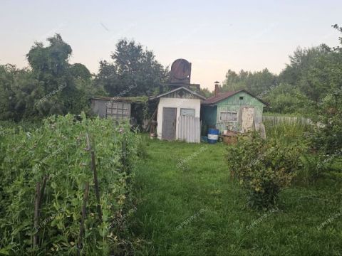 dacha-gorod-balahna-balahninskiy-municipalnyy-okrug фото