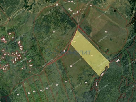 derevnya-shargoli-bogorodskiy-municipalnyy-okrug фото