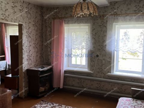 dom-derevnya-naleskino-gorodeckiy-rayon фото