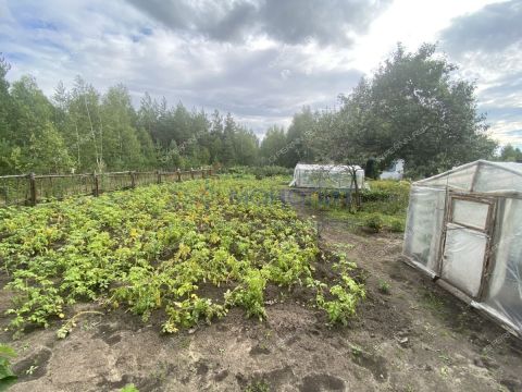 dacha-snt-berezka фото