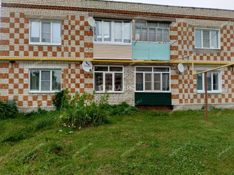 3-komnatnaya-selo-chulkovo-vachskiy-rayon фото