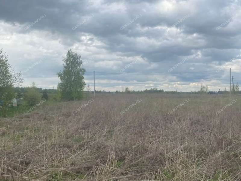 земельный участок 10,6 сотки Череповская улица деревня Серково