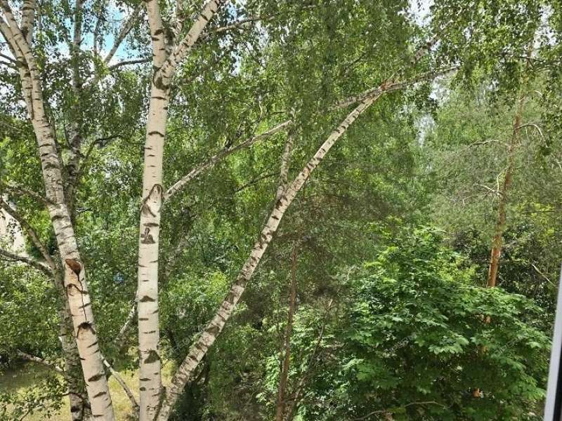 двухкомнатная квартира на Заречном бульваре дом 3