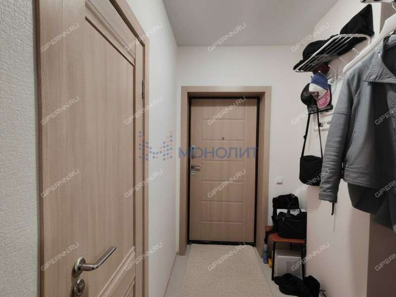 однокомнатная квартира на Черкесской улице дом 2 деревня Анкудиновка