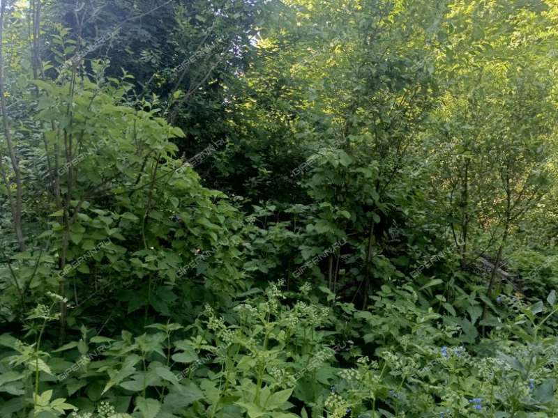 земельный участок 7 соток посёлок Малиновая Гряда
