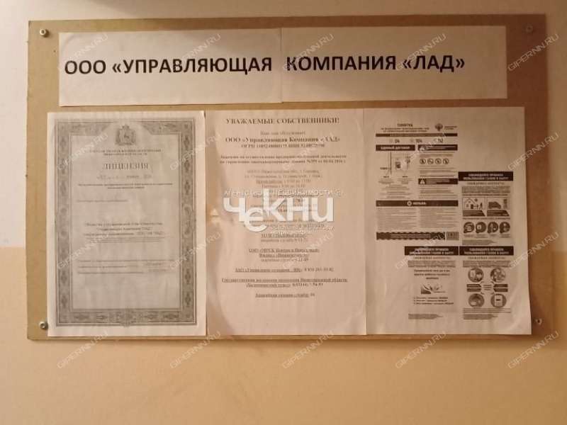 однокомнатная квартира на Счастливой улице дом 14 город Городец