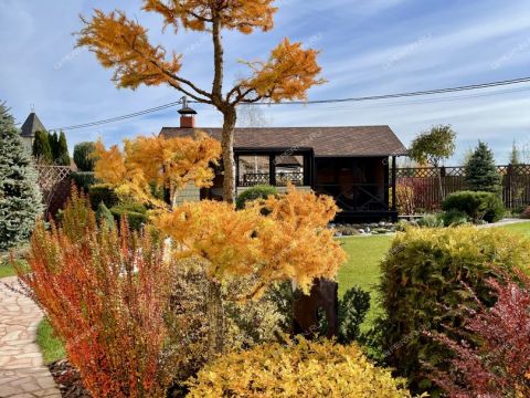 dom-derevnya-shumilovo-bogorodskiy-municipalnyy-okrug фото