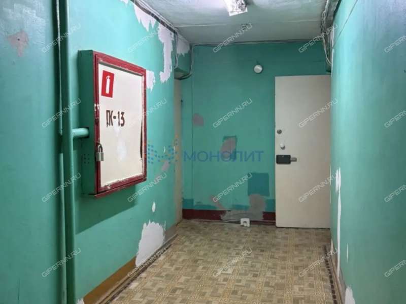 квартира-студия на улице Дьяконова дом 43А