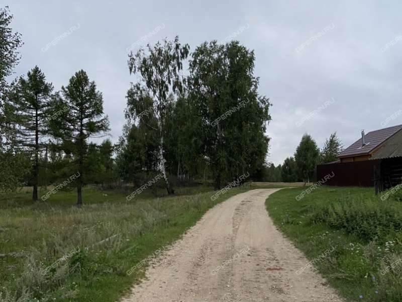 дом на Пушкина ул. деревня Жуковка (ППК сельсовет