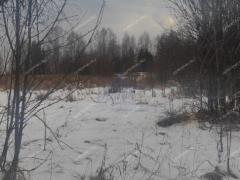 derevnya-kablukovo-gorodskoy-okrug-chkalovsk фото