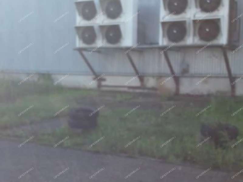 помещение под склад на улице Коновалова