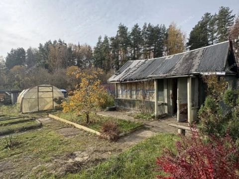dacha-derevnya-rekshino-gorodskoy-okrug-bor фото