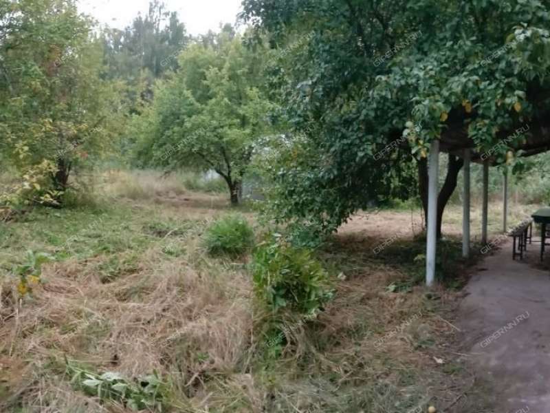 дом на Счастливой улице деревня Сысоевка