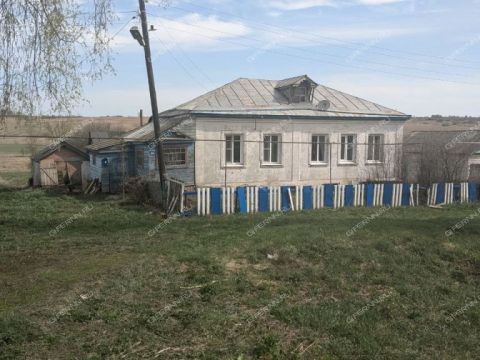 dom-selo-bolshoe-kazarinovo-bolsheboldinskiy-rayon фото
