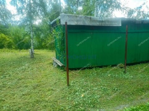 berezovaya-roshha-derevnya-temryashino-ter-snt-gorodskoy-okrug-bor фото