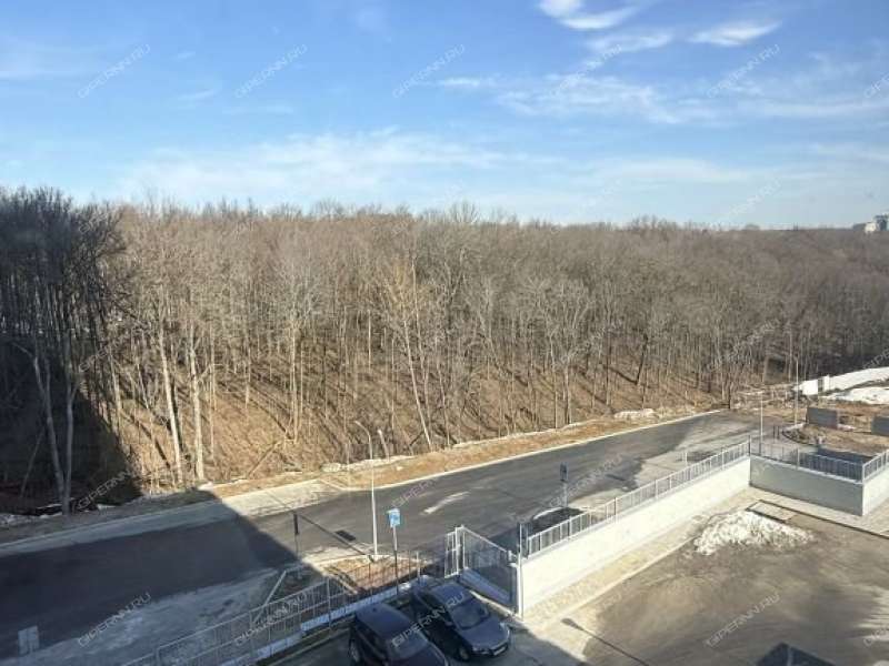 двухкомнатная квартира на улице Академика Чазова дом 3