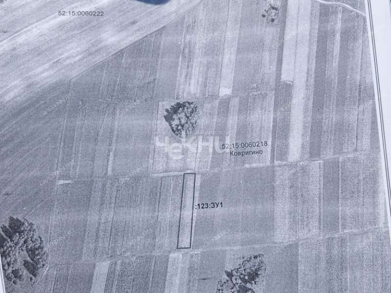 земельный участок 16 соток деревня Ковригино, Ковригинский сельсовет